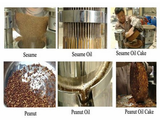 Machine de presse à huile de graines de tournesol à pression chaude et froide simple à utiliser