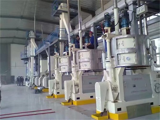 Petite machine d’extraction d’huile de noix de coco, rendement élevé en huile, 20tpd, cacahuètes