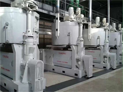 Usine de pressage d’huile de germe de maïs en Côte d’Ivoire
