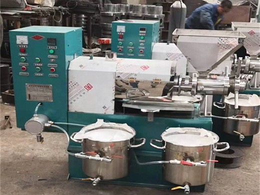 Machine d’extraction d’huile pressée à froid d’arachide 6yl 165 au Gabon