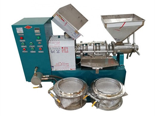 Machine de presse à huile de moulin d’extraction d’huile de graines de niger de qualité