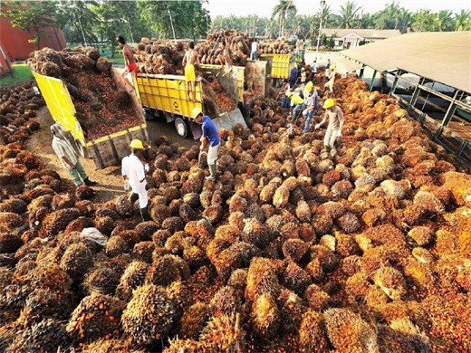 machine d’extraction d’huile utilisée dans la production d’huile de palme