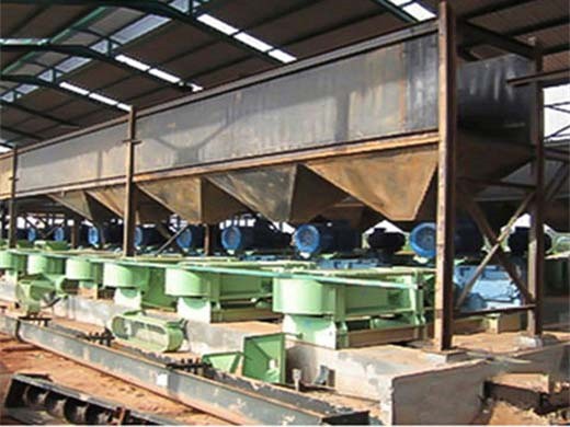 Machine de processus d’extraction d’huile de palme de raffinage d’huile de palme au Burkina Faso