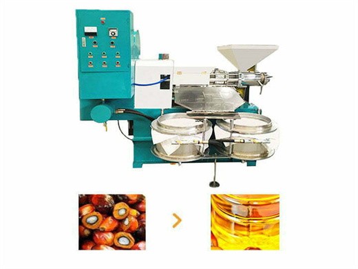 Machine d’extraction automatique d’huile de palme, extraction d’huile de palmiste