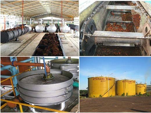machine de raffinage d’huile de palme brute au Costa Rica