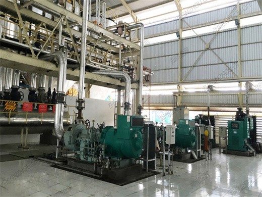 L’installation d’une usine de presse à huile utilise un extracteur d’huile de palme au Sénégal