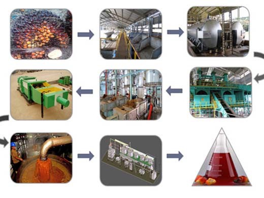 machine de traitement d’huile de palmiste chaîne de production d’huile de palmiste