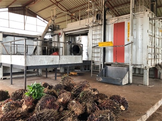 presse hydraulique à huile de palme au Costa Rica