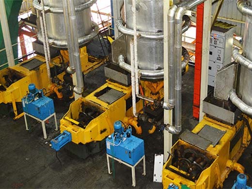 Machine de raffinage d’huile de palmiste fabriquée au Maroc et à petite échelle