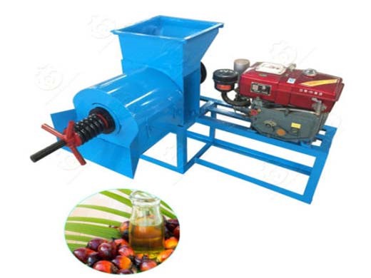 Machine de presse à huile à vis pour graines de noix de palmiste, populaire 2023