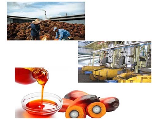 dernier prix ffb à cpo machine de raffinage d’huile de palme acheter de l’huile de palme