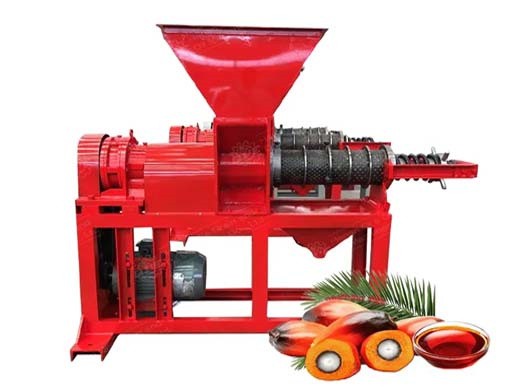 Machine lk100 d’huile de palme, petite raffinerie d’huile de palme du Congo