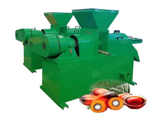 Machine d’extraction d’huile de palme ss304/pressage d’huile au Cameroun