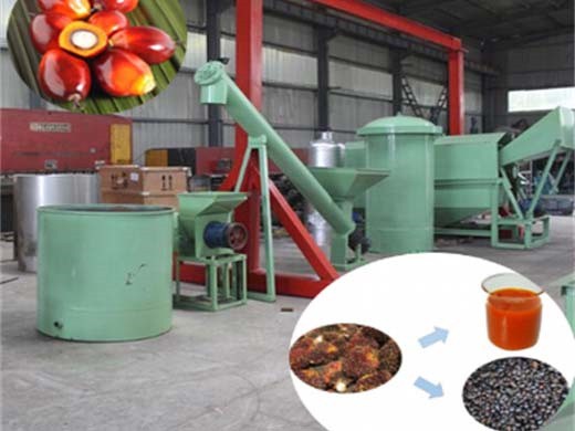 Presse à huile de palme à vis au Congo/machine de pressage d’huile