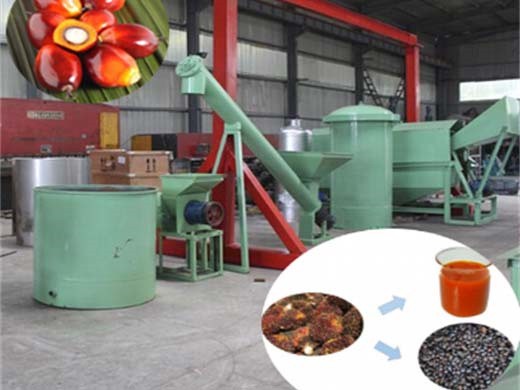 Chine 1 20ton h vente chaude machine de traitement d’huile de palme de type humide