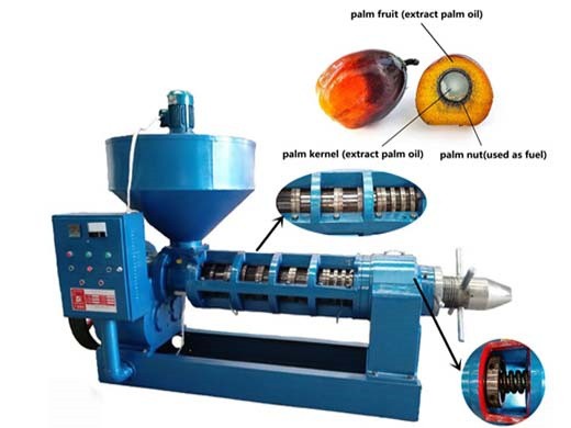 industrie de production et de transformation de l’huile de palme au Burkina Faso