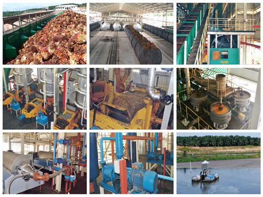 Machine de raffinage d’huile comestible de sésame de tournesol de palmiste au Gabon