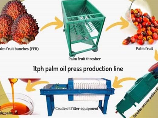 usine de raffinage d’huile de palme/usine de raffinage de pétrole brut au Cameroun