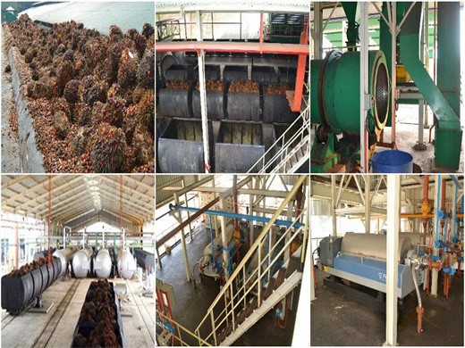 traitement de l’huile de presse à huile de palme à structure compacte au Costa Rica