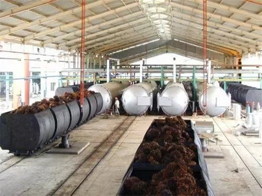 machine d’extraction d’huile de palme de haute qualité au Gabon