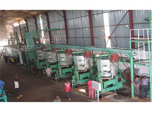 fabricant de moulin à huile de palme Congo machines d’usine d’huile de palme