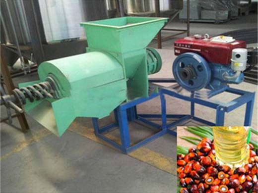 Machine de raffinage d’huile de palme brevetée à petite échelle, prix d’usine